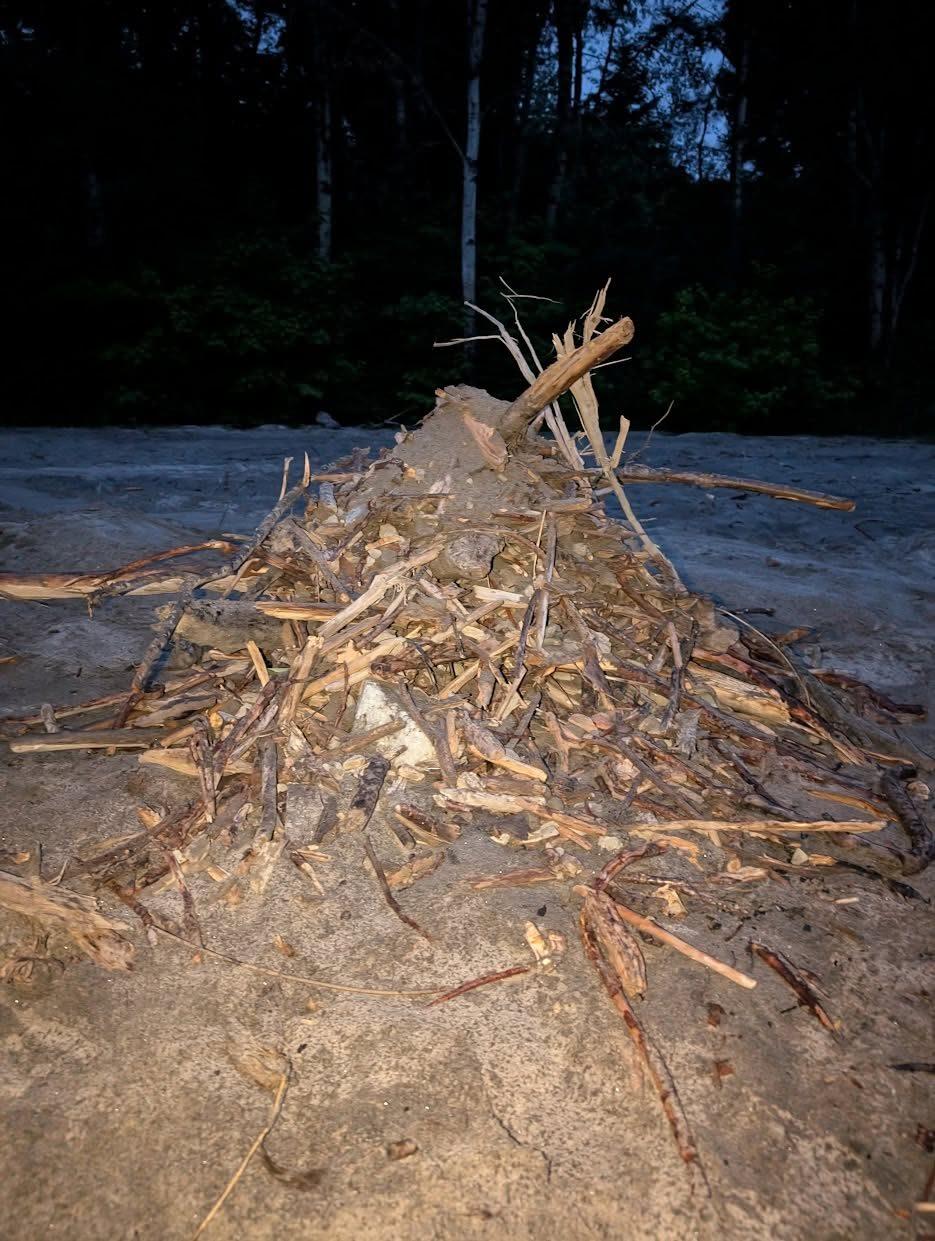 Tas de branches, de racines et de roches retirées du sable pendant le tamisage.