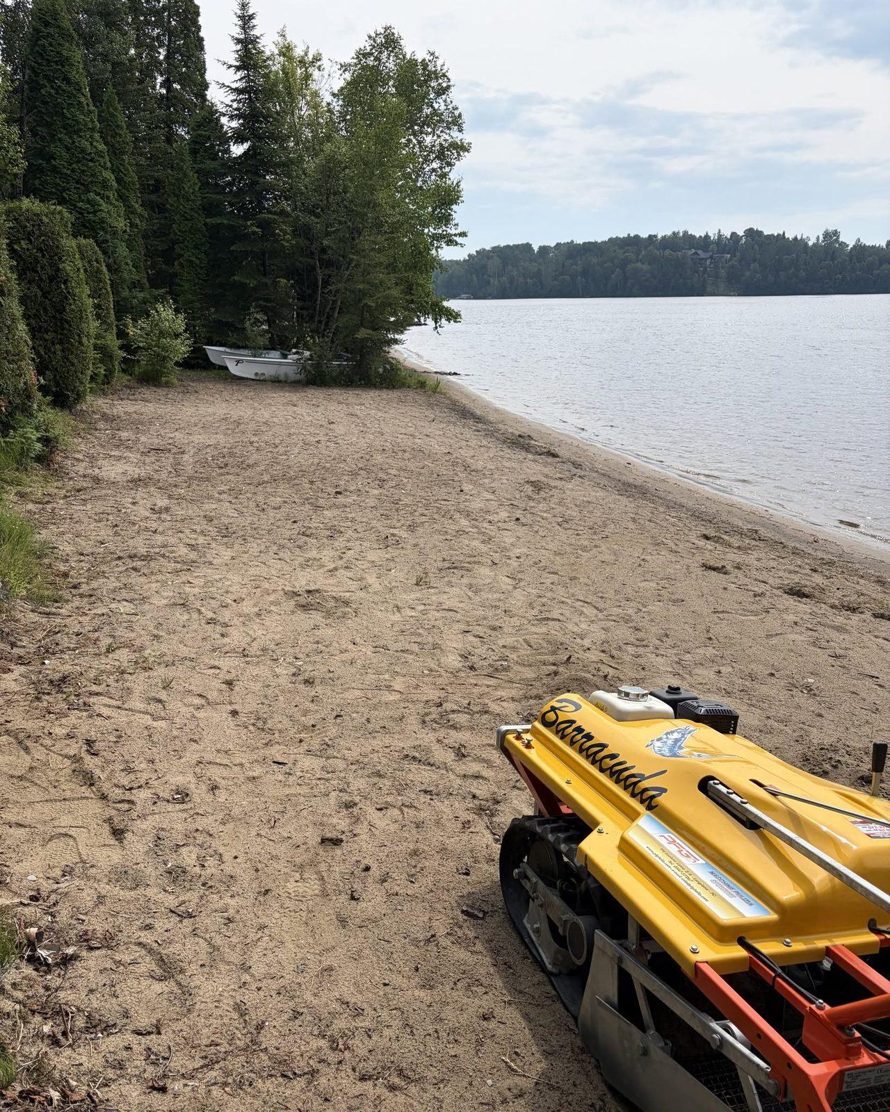 Le bord de l'eau avant l'intervention : sable terne parsemé de branches, de racines et de débris.
